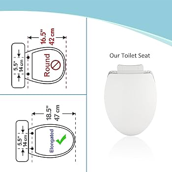 SS114 Toilet Seat Replacement Compatible with TOTO
